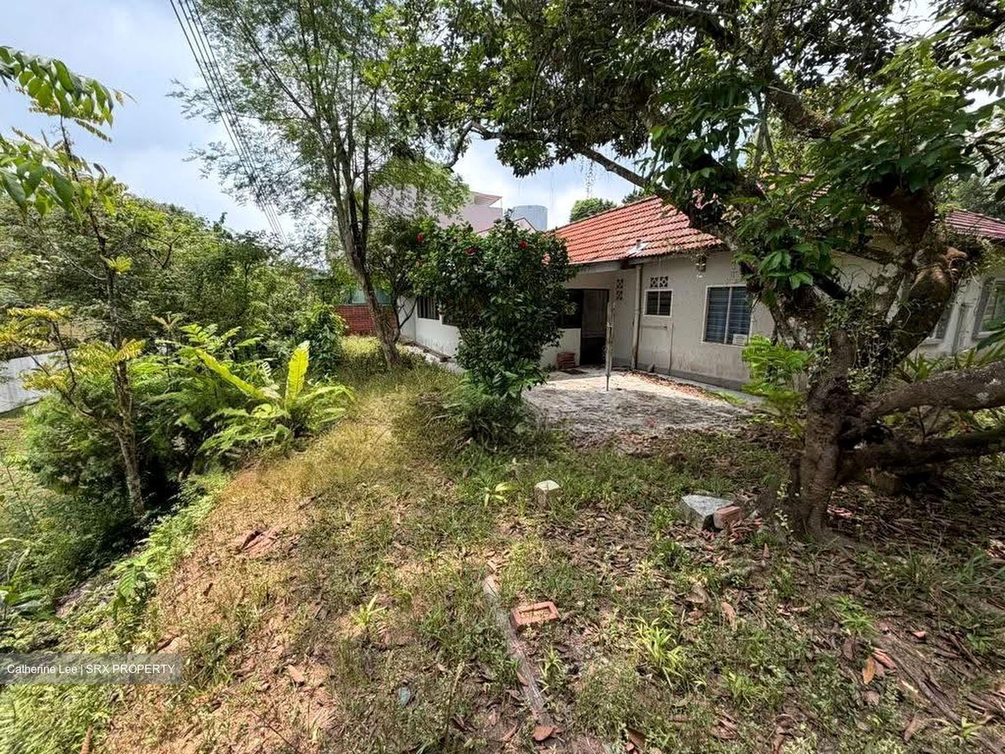Adelphi Park Estate (D20), Terrace #612335641
